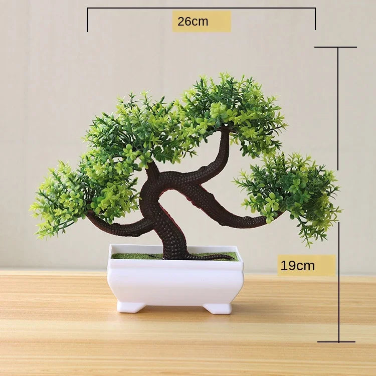 Bonsai trees