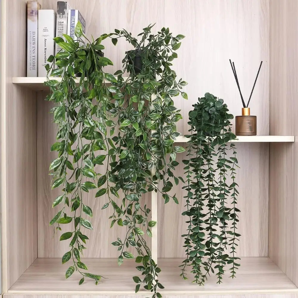 hanging plants with pot