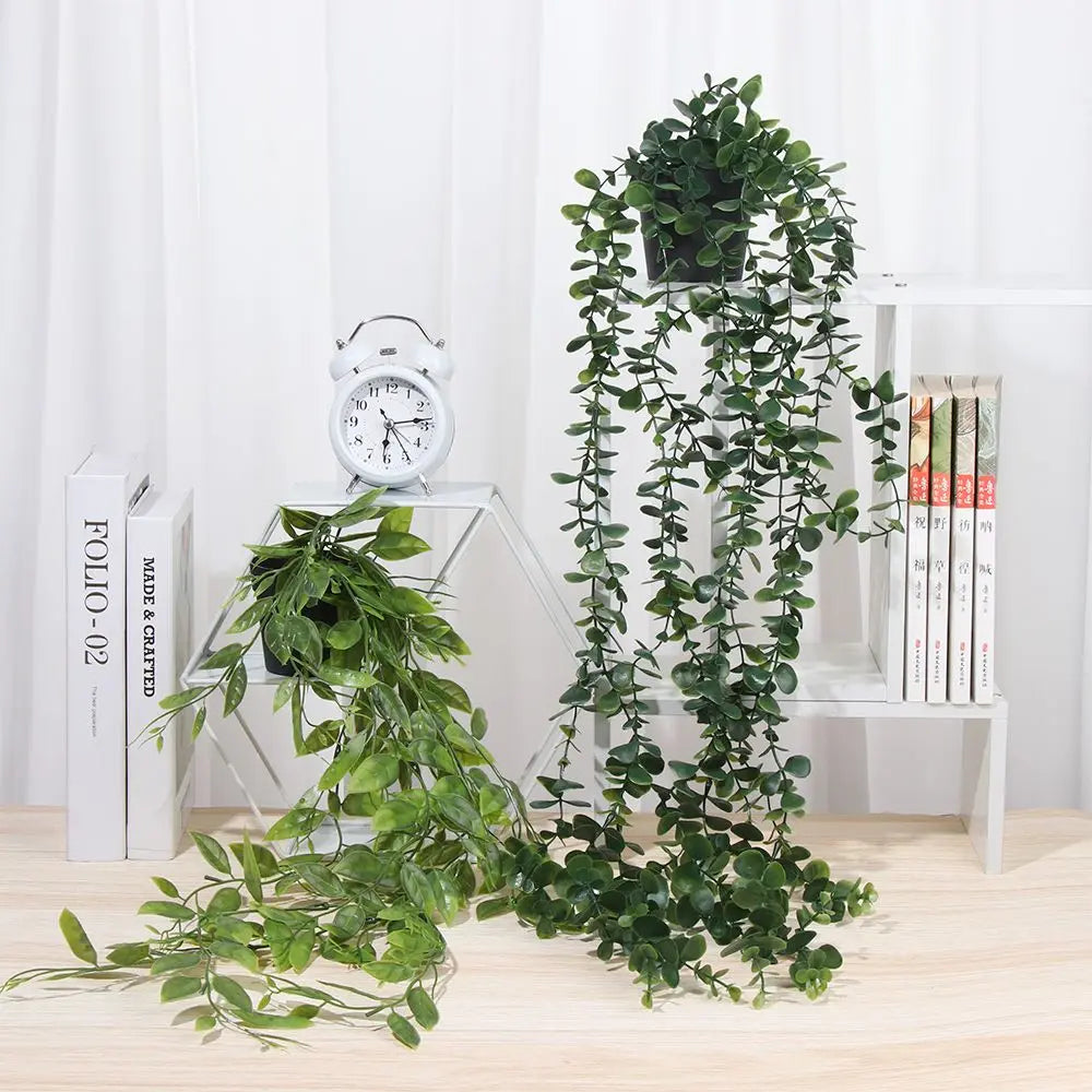 hanging plants with pot
