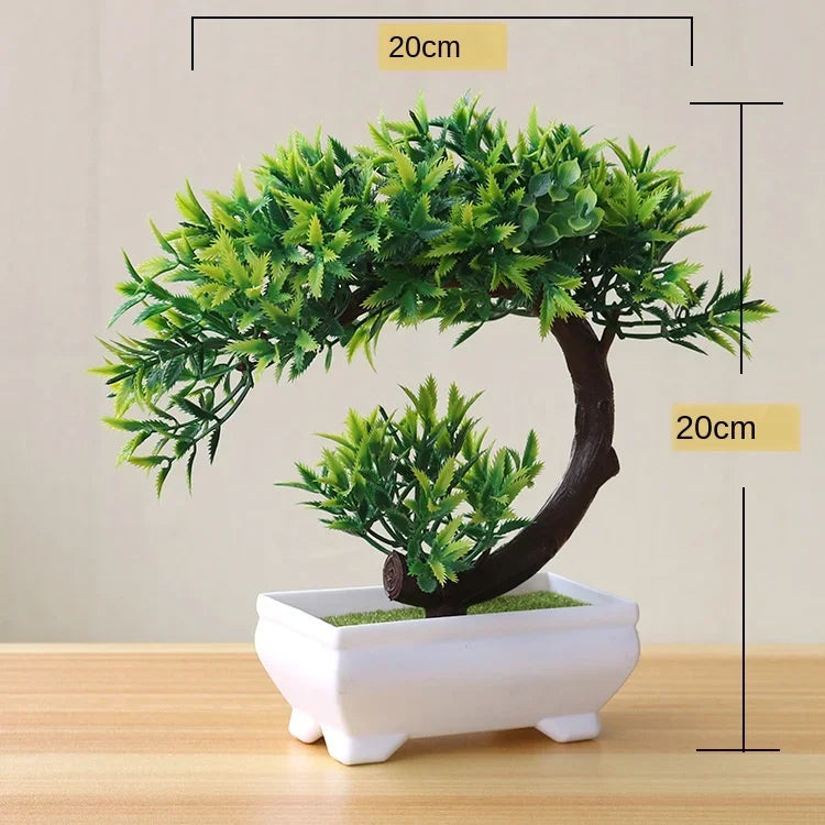 Bonsai trees