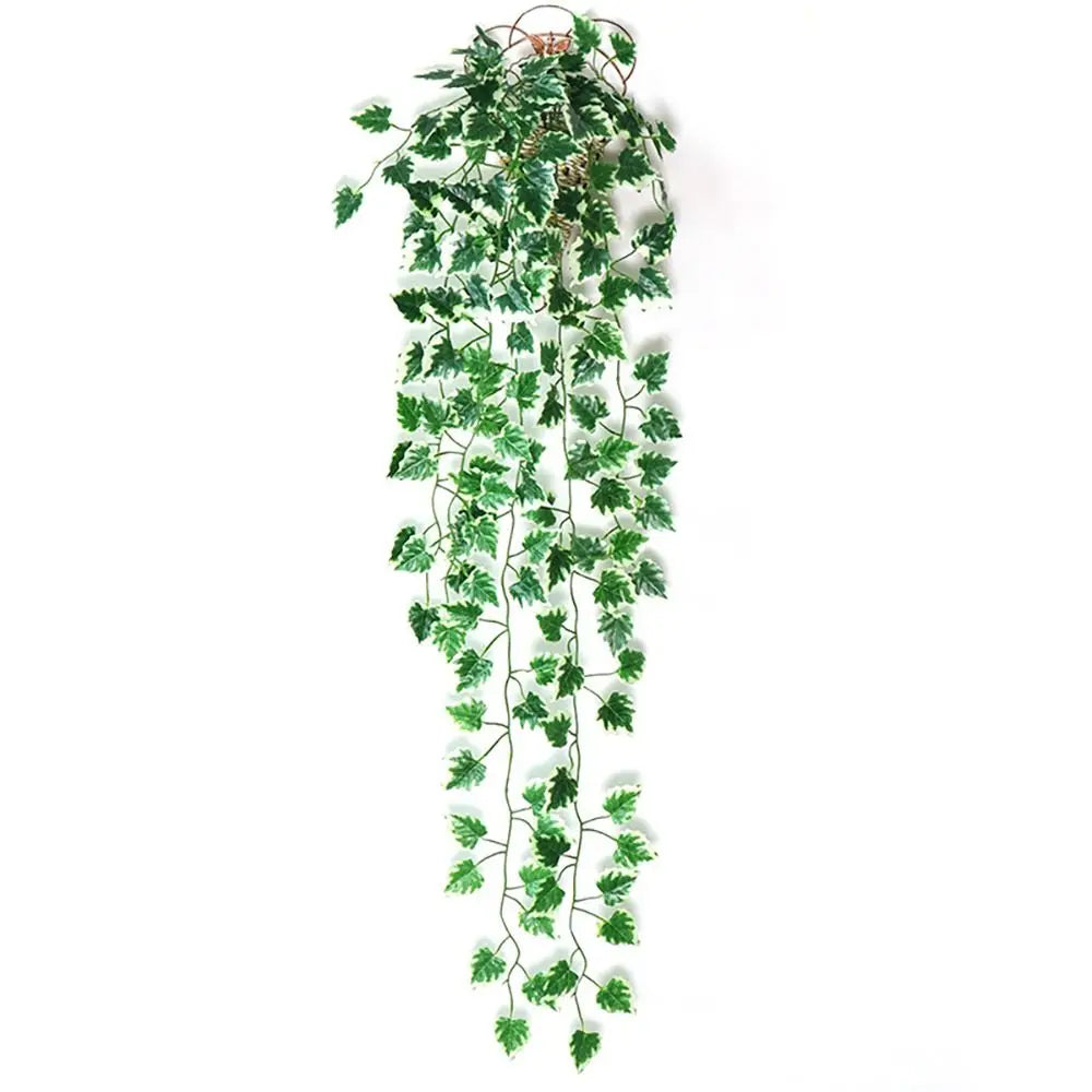 hanging plants with pot