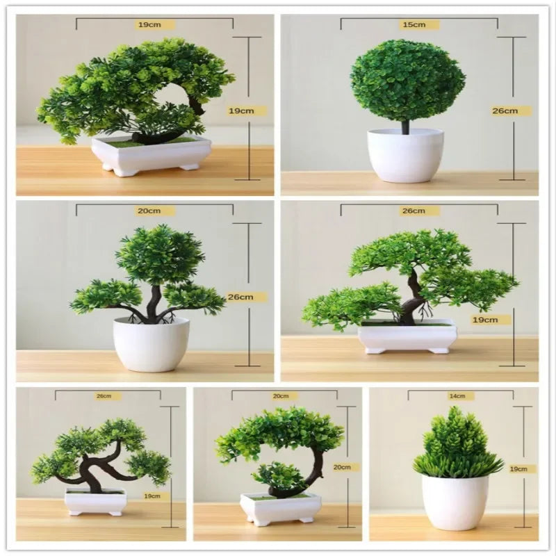 Bonsai trees